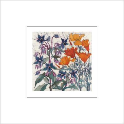 No.553 California Poppy and Borage - signed Small Print.